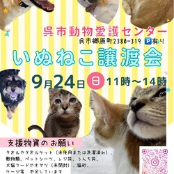 いぬねこ譲渡会