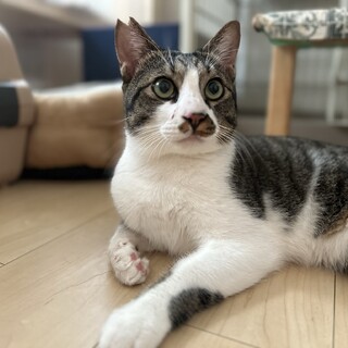 スリゴロちょび