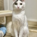 ももを怪我していたもも太郎１歳