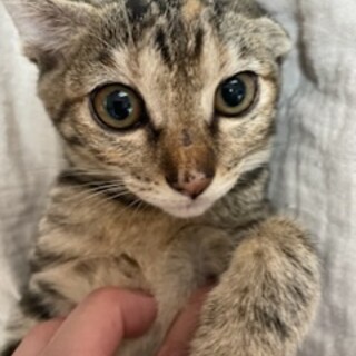 お顔もかわいい女の子♪