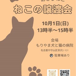 10月1日【ねこの譲渡会】in守山