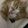 信長