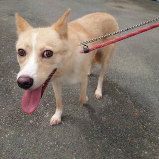 ちょっぴり怖がりなそぼろちゃん