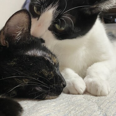 の写真