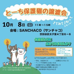 とーち保護猫の譲渡会@三軒茶屋