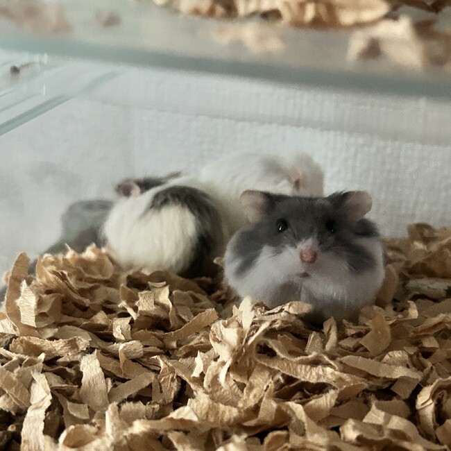 yuntan0701のカバー写真