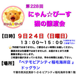 にゃん☆ぴーす猫の譲渡会【稲毛海岸/ペテモピアシティ稲毛海岸店】 サムネイル1