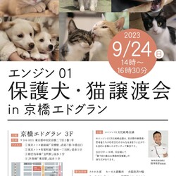 エンジン01保護犬・猫譲渡会 in 京橋エドグラン