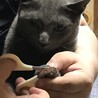 爪切りされて嫌そうな笑笑ホープ君