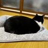 の写真