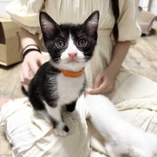 ひと大好き！天然で明るく元気な男の子