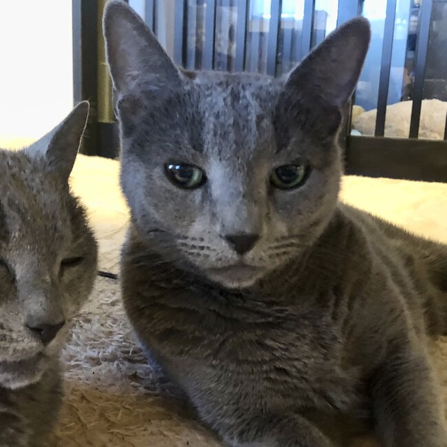 Mackey62のカバー写真