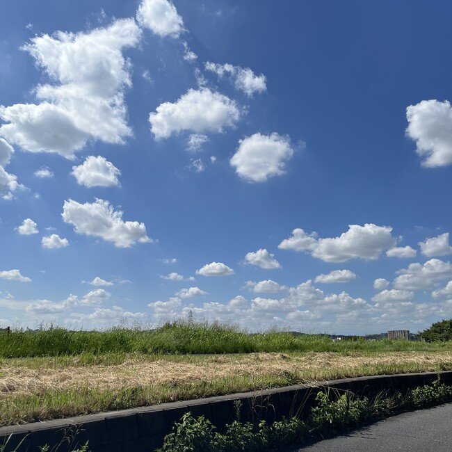 Noire97のカバー写真