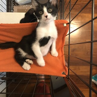 おっとりめなおんなのこです♡