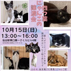 四つ葉にゃんこの譲渡会　〜にゃんこ組〜