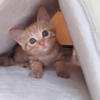 すくすく成長中♡じんくん