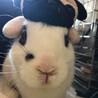 うびうび