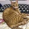 みっちーさん