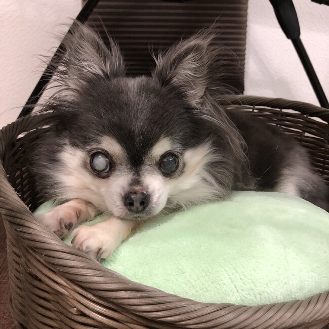 みっちーさんのカバー写真