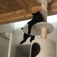 はまち