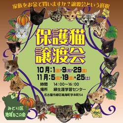 名古屋市緑区猫の譲渡会