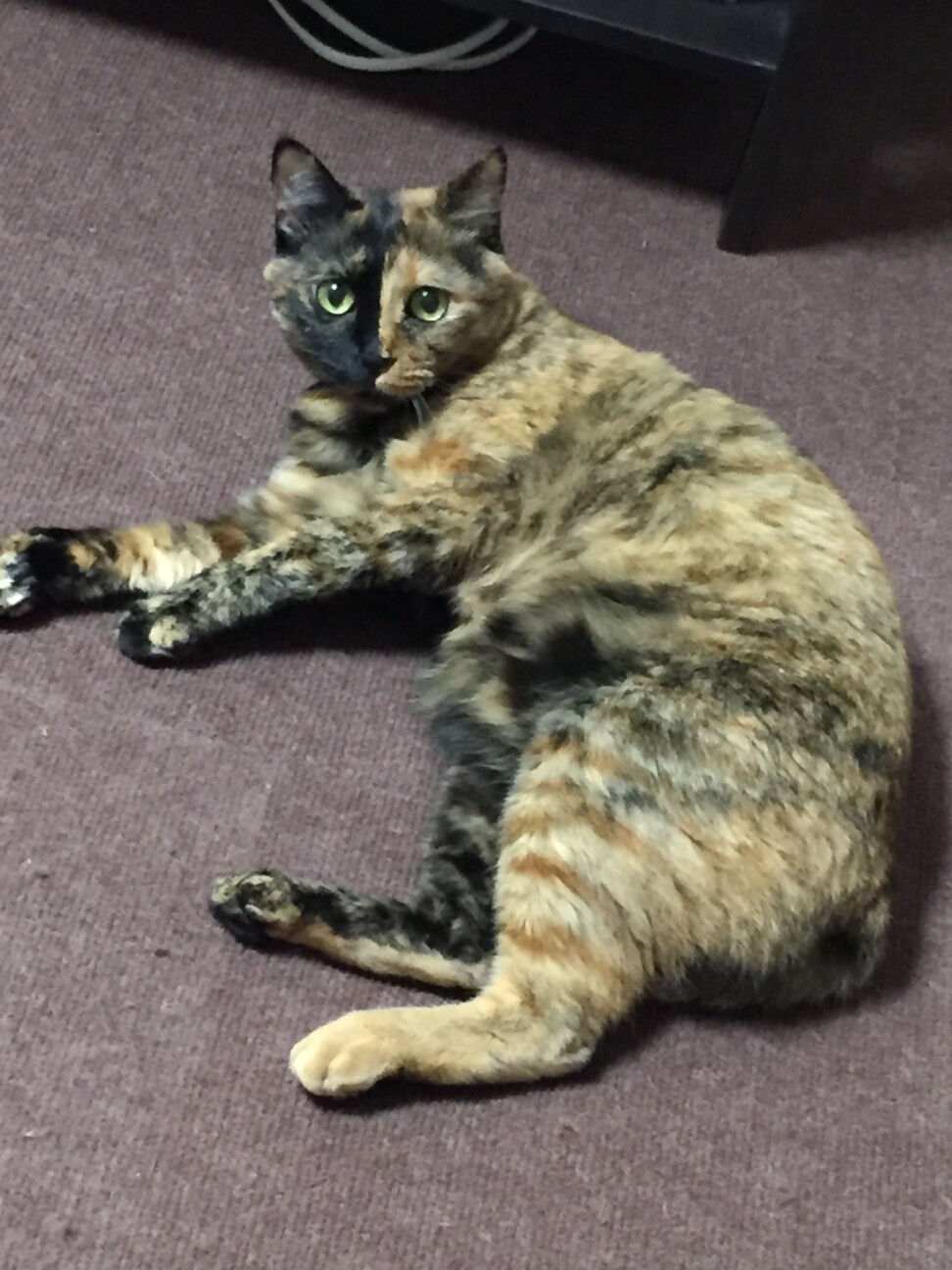 ティノ