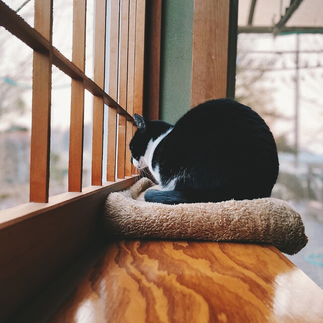 うにに子のカバー写真