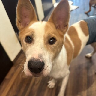 甘えん坊な男の子です！