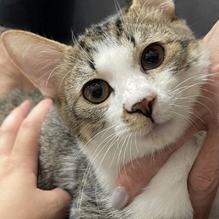 優しい顔立ちの男の子☆いえやす君