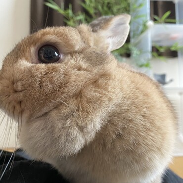 カメラが気になるみたいです。
