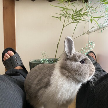 七夕、生花と