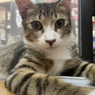 人馴れ抜群　ロック