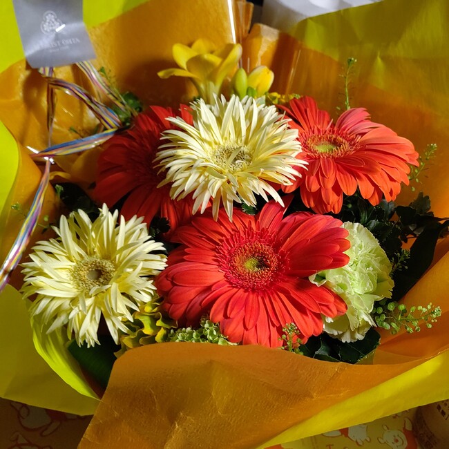 らいでんこはくのカバー写真