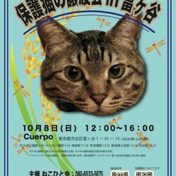 保護猫の譲渡会in富ケ谷 サムネイル1