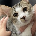 優しい顔立ちの男の子☆いえやす君
