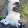 の写真