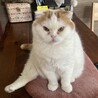 の写真