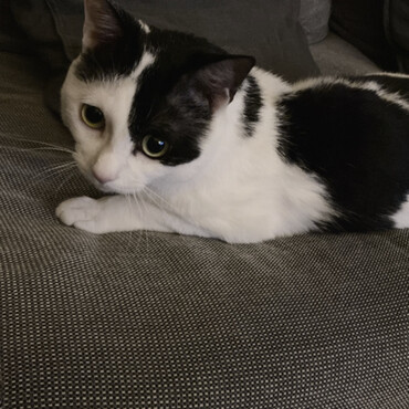 の写真