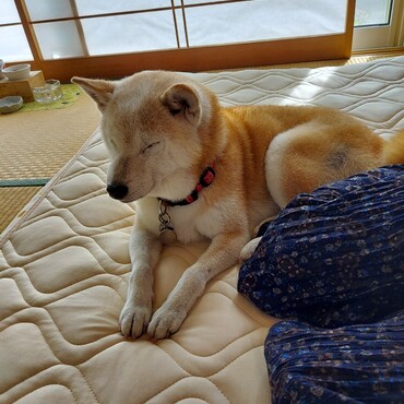 雹くん(о＾∇＾о)お誕生日おめでとう♥️若くてうらやましい♪ますます元気にね(*´∇｀)