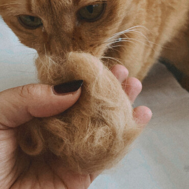 の写真