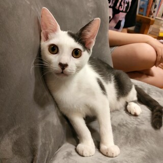 人と一緒に寝たい甘えん坊くんです❣️