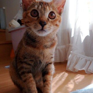 10月1日★堺市里親会★クリ