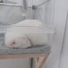 の写真