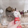 の写真