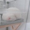 の写真