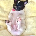 やんちゃな康康(かんかん)くん