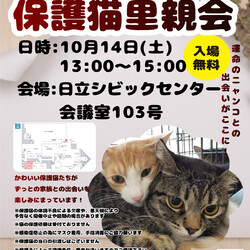ひたちまちにゃか保護猫里親会