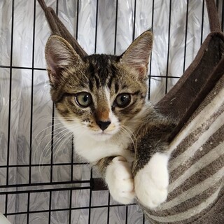 怖がりだけど甘えん坊な女の子