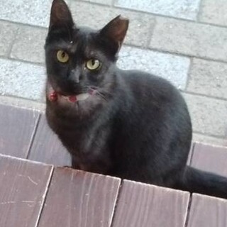 女の子らしくてかわいい子です。