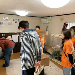AWA総社犬ねこ譲渡会 サムネイル2